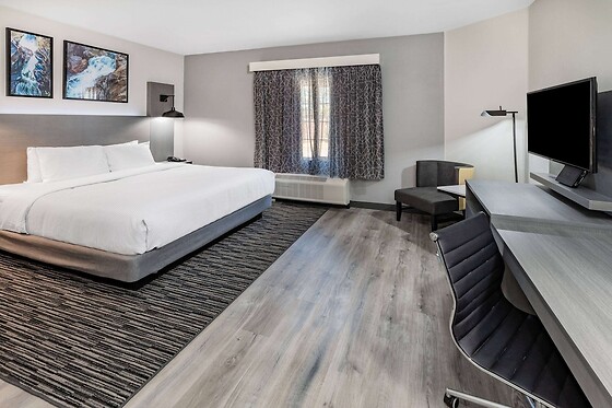 Online Booking EPS - photo 1