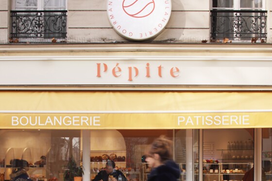 Pepite Voltaire - photo 1