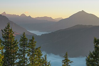 Randonnée personnalisée à Chamonix avec dégustation pour deux - Emotion Alpine - Les Houches (74)