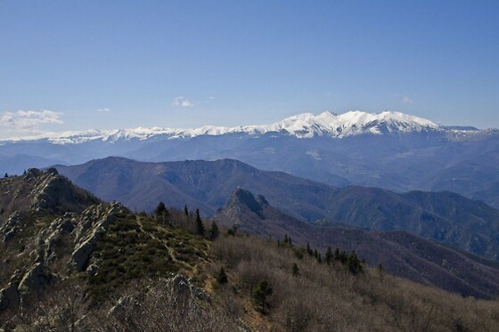 Helitorral - photo 1