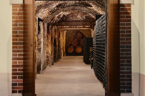 Champagne P. Lancelot Royer - photo 10