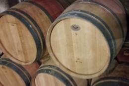 Domaine de la Belle Etoile