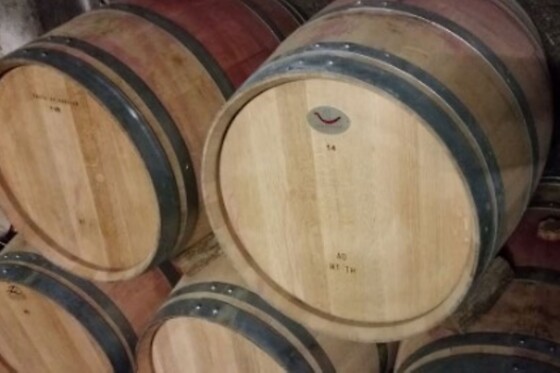 Domaine de la Belle Etoile - photo 2