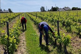 Domaine de la Belle Etoile