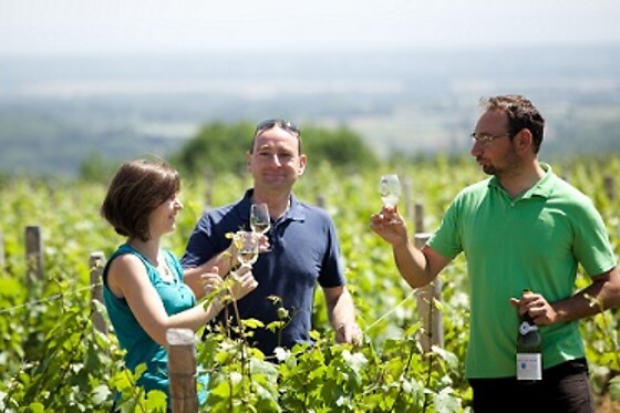Domaine Joseph Lafarge - photo 23