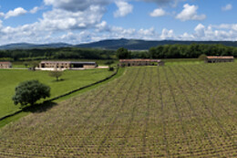 Domaine Joseph Lafarge
