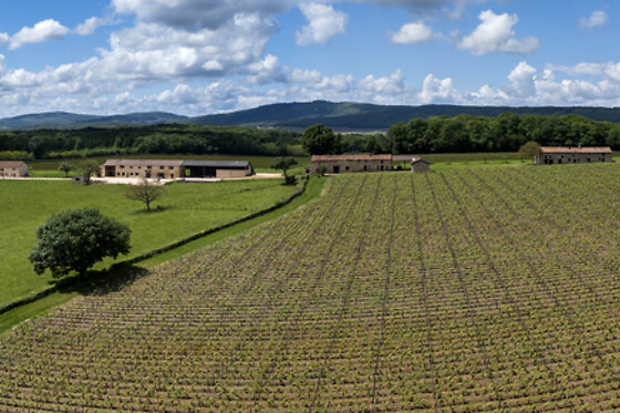 Domaine Joseph Lafarge - photo 27