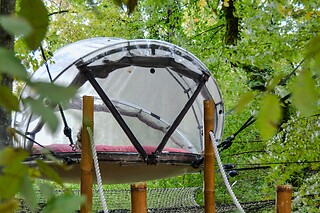 Un séjour en duo Ô Pays Des Bois à Parmilieu (38)