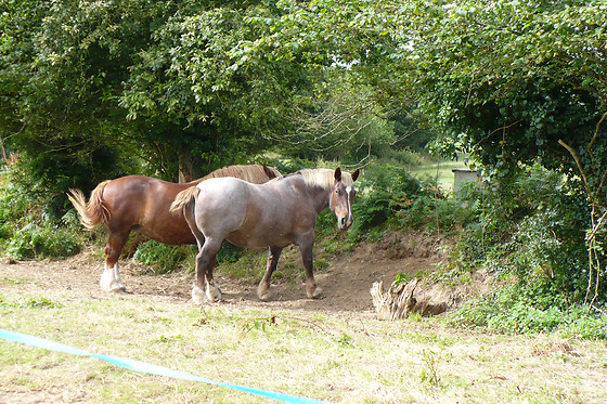 Ferme auberge de la ville Suzanne - photo 23
