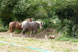 Ferme auberge de la ville Suzanne