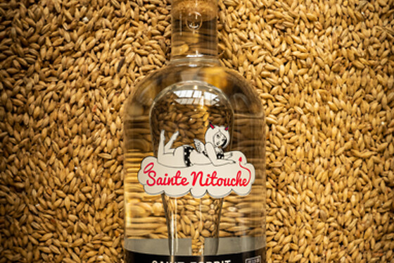 Brasserie Sainte-Nitouche - photo 7