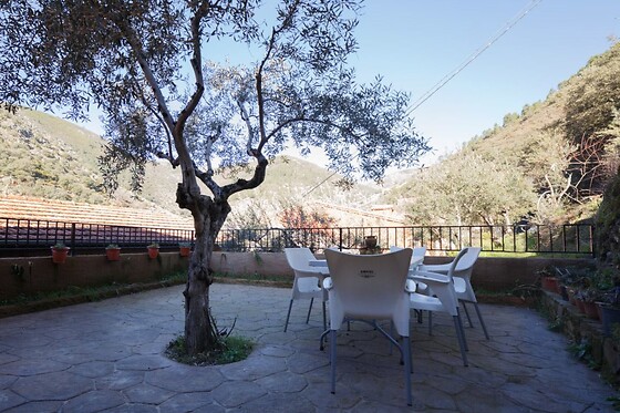 LAS CASITAS DEL BODEGÓN - photo 1