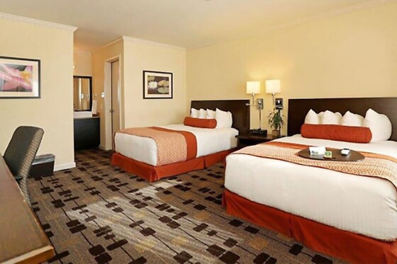 Online Booking EPS - photo 0