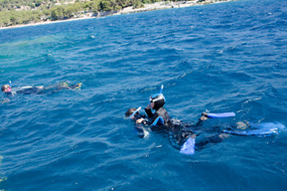 Activités nautiques
