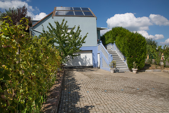 A la Maison Bleue (68) - photo 0
