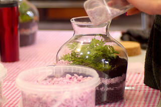 Atelier Terrarium à Paris 19ème