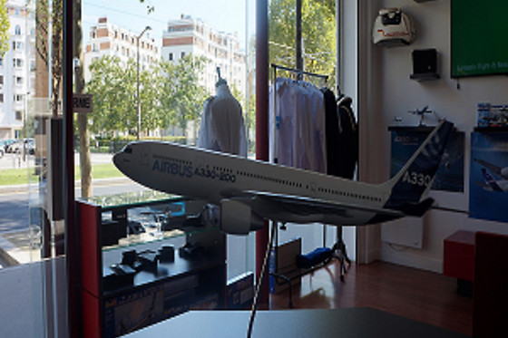 FLIGHT in PARIS - photo 4