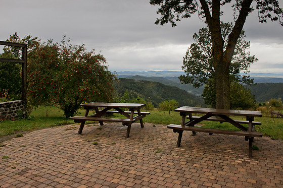 Gîte Auberge L'Herminette - photo 10