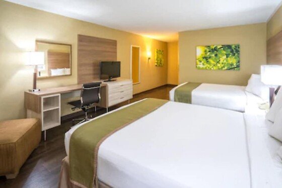 Online Booking EPS - photo 1