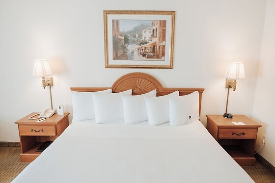 Online Booking EPS - photo 4