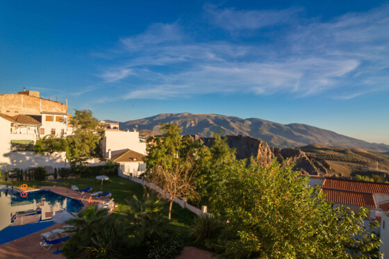 HOTEL ANDALUCIA DE LANJARON - photo 25