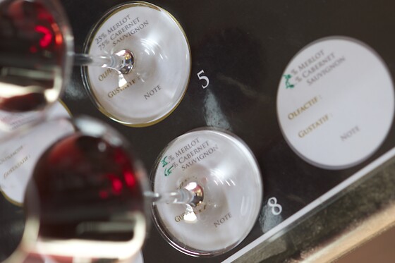 Bernard Magrez Luxury Wine Experience - photo 4