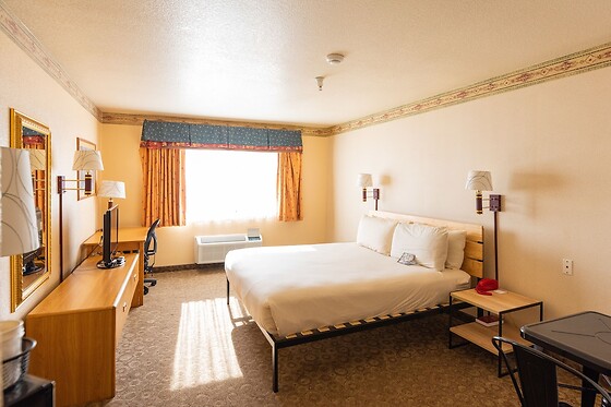 Online Booking EPS - photo 2