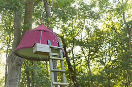 Woody park