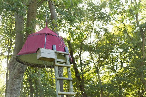 Woody park - photo 1
