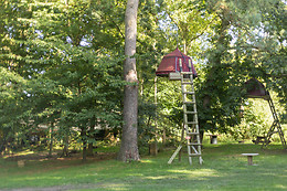 Woody park