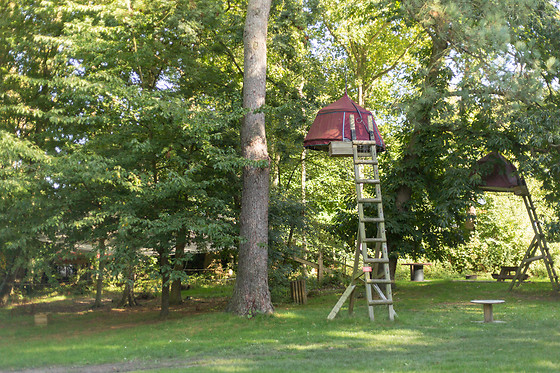 Woody park - photo 2