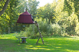 Woody park