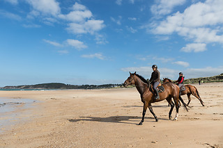Bonheur en duo