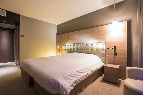 Hotel Le Rabelais - photo 8