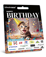 Carte Anniversaire Chaton