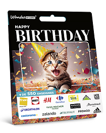 Carte Anniversaire Chaton