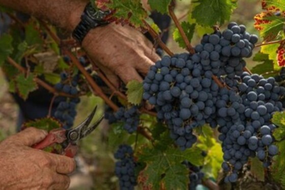 Domaine de Rocheville - photo 1