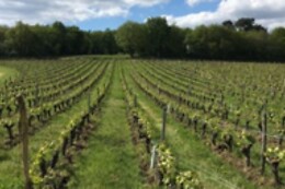 Domaine de Rocheville