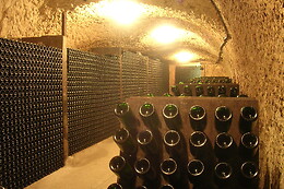 Domaine Paris