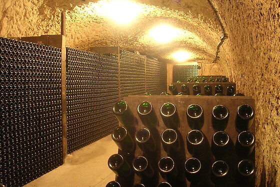 Domaine Paris - photo 1