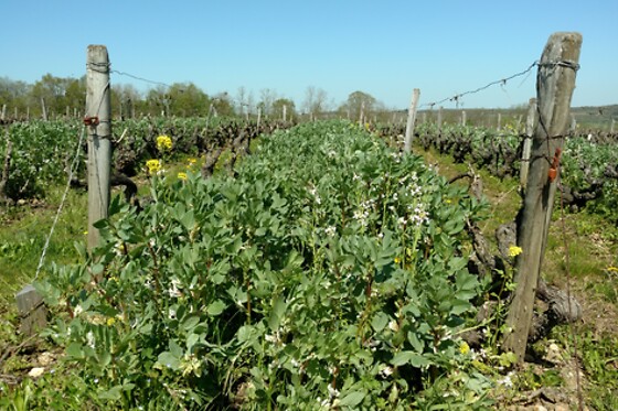 Domaine Paris - photo 2