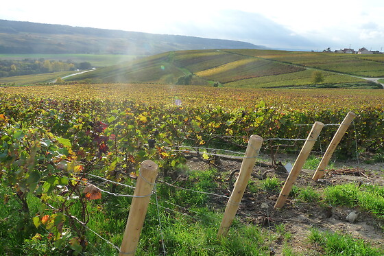 Champagne Rédempteur - photo 6