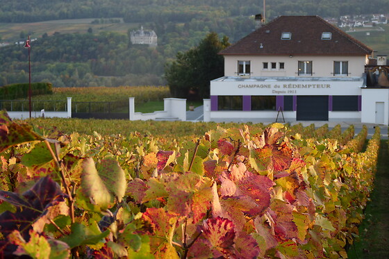 Champagne Rédempteur - photo 4