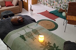 L'Atelier des Chats