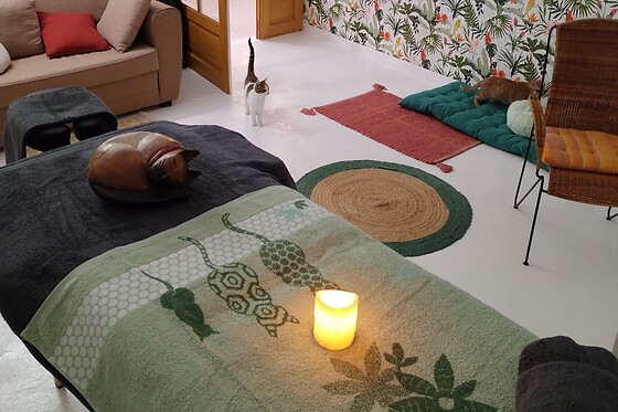 L'Atelier des Chats - photo 0