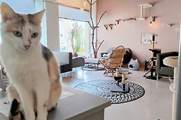 L'Atelier des Chats
