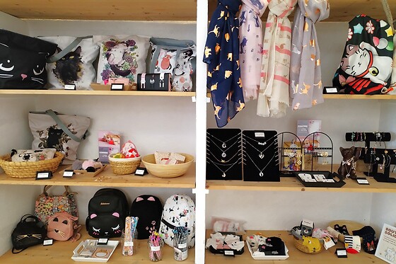 L'Atelier des Chats - photo 3