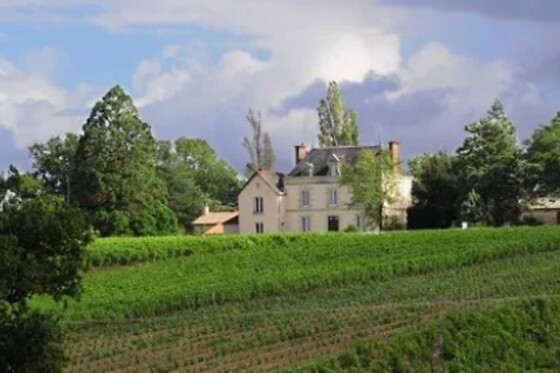 Château de la Viaudière - photo 0