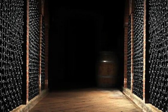 Château de la Viaudière - photo 2