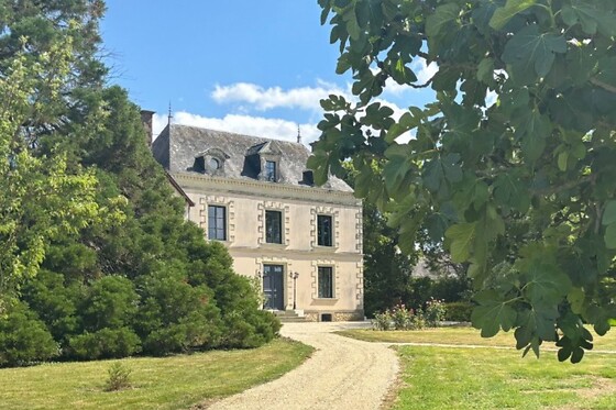Château de la Viaudière - photo 4